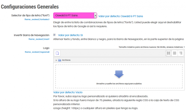 ES Evolved theme general settings page.png