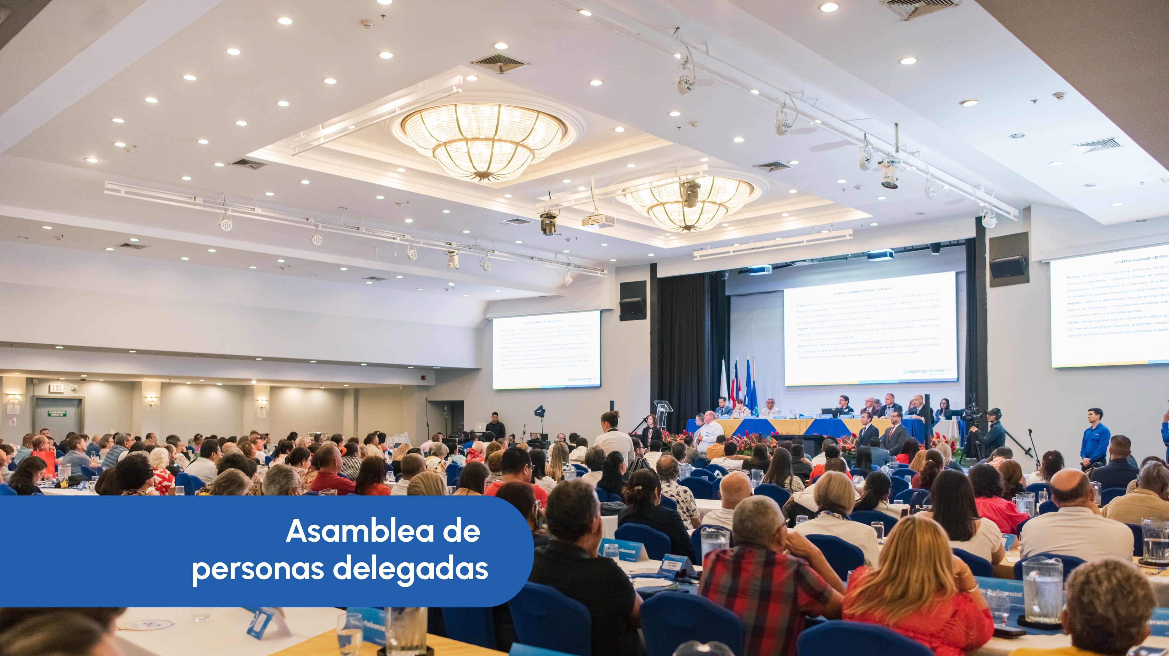 Procesos de Asamblea y Toma de Decisiones 